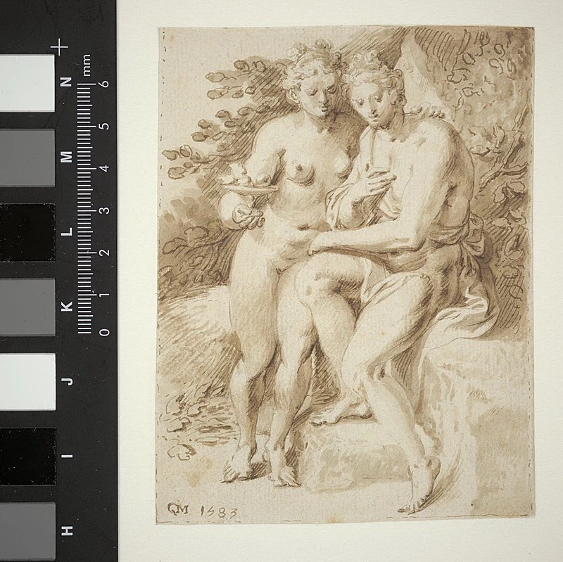 Venere e Adone - Rijksmuseum